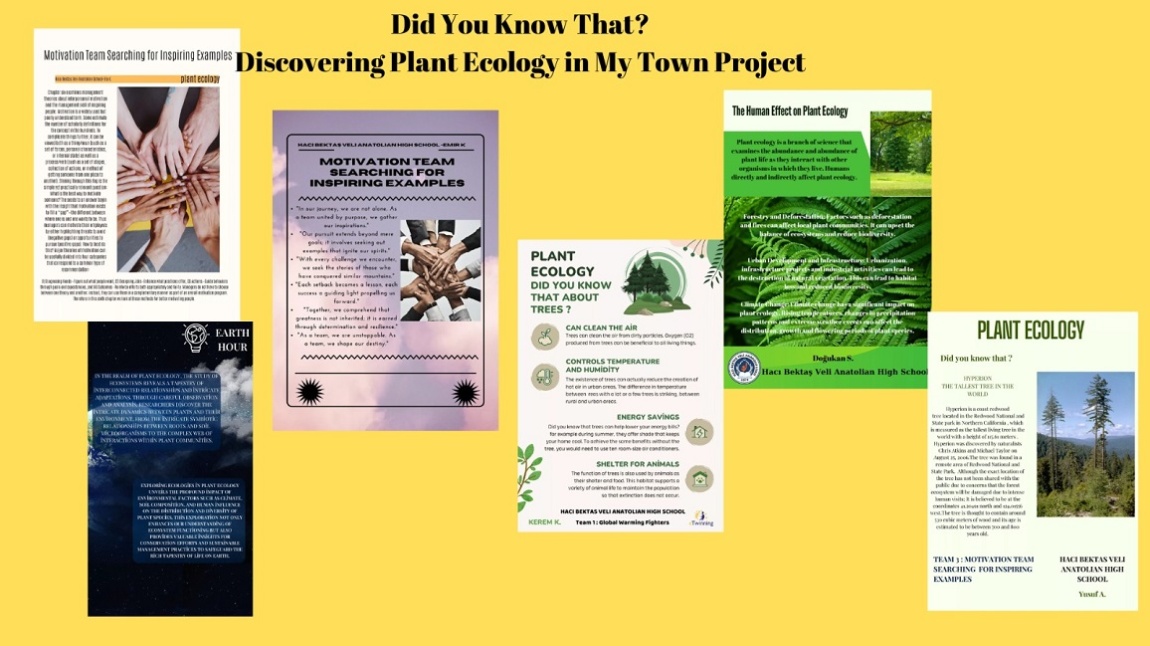 Yeni eTwinning Projemiz ' Discoverinh Plant Ecology İn My Town' 